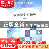 正版 病理学实习指导 罗殿中主编 科学出版社 9787030267726 书籍