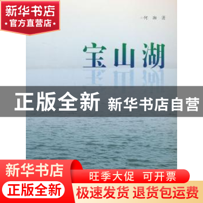 正版 宝山湖 何湘著 上海大学出版社 9787567105713 书籍