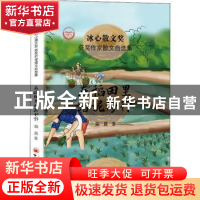 正版 在稻田里踏泥修行 陈晨 中国经济出版社 9787513656498 书籍