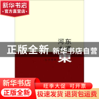 正版 河东大道东 远洲 山西人民出版社 9787203097167 书籍