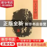 正版 汉字的功能 张再兴著 大象出版社 9787534749193 书籍