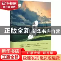 正版 迷途的鸟群 汪修荣著 中国书籍出版社 9787506869553 书籍