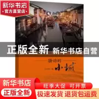 正版 骚动的小城 王志强著 新华出版社 9787516615737 书籍