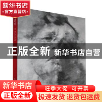 正版 李路明 未知 湖南美术出版社 9787535682604 书籍