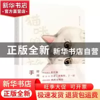 正版 猫咪的时间旅行 猫G 电子工业出版社 9787121395406 书籍