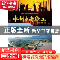 正版 水利水电施工(2020年第3辑)