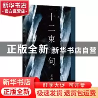 正版 十二束绝句 王敖 上海文艺出版社 9787532182398 书籍