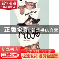 正版 大话猫 魏宾 云南出版集团公司 9787541534072 书籍