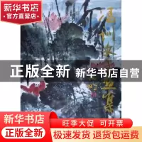 正版 冯训文书画集 冯训文绘 人民美术出版社 9787102046204 书籍