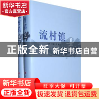正版 流村镇 张涛,邓瑞全等编著 人民出版社 9787010093925 书籍