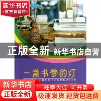 正版 一盏书梦的灯 袁毅 武汉大学出版社 9787307104884 书籍