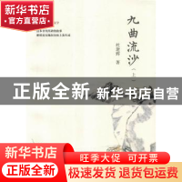正版 九曲流沙 杜建辉著 河南大学出版社 9787564911331 书籍