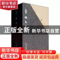 正版 青蛾文集 周青著 天津人民美术出版社 9787530557402 书籍