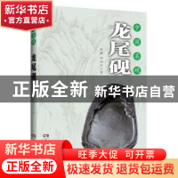 正版 龙尾砚 程歗,郑国庆著 湖南美术出版社 9787535670946 书籍