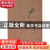 正版 思絮 袁绍恒著 湖南人民出版社 9787556104659 书籍