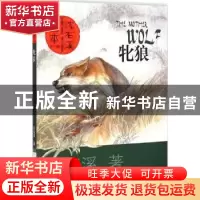 正版 牝狼 沈石溪著 长江少年儿童出版社 9787556022403 书籍