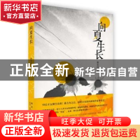 正版 向夏生长 曹安洁著 新星出版社 9787513317894 书籍
