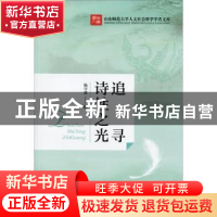 正版 追寻诗性之光 杨守森著 人民出版社 9787010147826 书籍