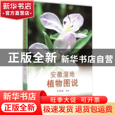正版 安徽湿地植物图说 吴惠敏编著 黄山书社 9787546144818 书籍