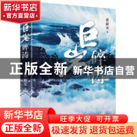 正版 巨岩碎涛 张新安著 作家出版社 9787506380119 书籍