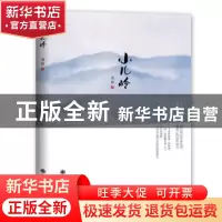 正版 小儿岭 老阳著 九州出版社 9787510838224 书籍
