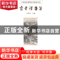 正版 崔东湑画集 吕章申主编 安徽美术出版社 9787539865164 书籍