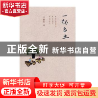 正版 一抔乡土 王新军 著 甘肃文化出版社 9787549011872 书籍
