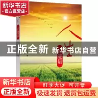 正版 人生正能量 严正言 中国致公出版社 9787514509984 书籍