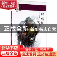 正版 红蜻蜓 冰波著 新世纪出版社 9787558304699 书籍