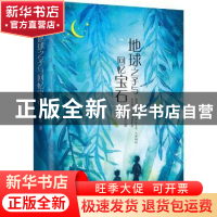 正版 地球之子与回忆宝石 杨铁铭 花城出版社 9787536084094 书籍