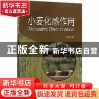 正版 小麦化感作用 左胜鹏著 科学出版社 9787030548764 书籍
