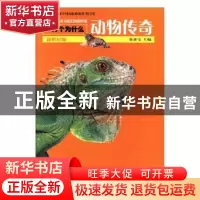 正版 动物传奇 金杏宝主编 少年儿童出版社 9787532488964 书籍