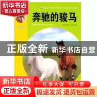 正版 奔驰的骏马 袁毅 武汉大学出版社 9787307097001 书籍