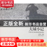 正版 大城小记 王凌炜 云南美术出版社 9787548928522 书籍
