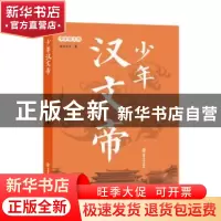 正版 少年汉文帝 南宫不凡著 南京大学出版社 9787305193415 书籍