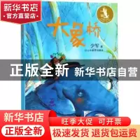 正版 大象桥 少军著 山东教育出版社 9787570101795 书籍