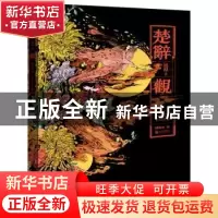 正版 楚辞 观 屈原著 新世界出版社 9787510464850 书籍