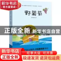 正版 野葡萄 葛翠琳著 长江文艺出版社 9787570204373 书籍