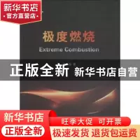 正版 极度燃烧 范宝春著 国防工业出版社 9787118115499 书籍