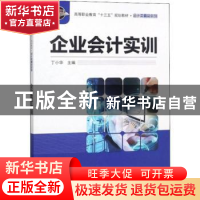 正版 企业会计实训 丁小华主编 科学出版社 9787030608444 书籍