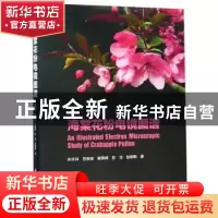 正版 海棠花粉电镜图谱 张往祥 科学出版社 9787030562692 书籍
