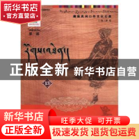 正版 叙事诗:13 洲塔主编 甘肃文化出版社 9787549006595 书籍