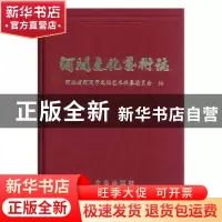 正版 河间文化艺术志 郝双良主编 方志出版社 9787801920997 书籍