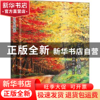 正版 柔石作品精选 柔石 云南人民出版社 9787222184596 书籍