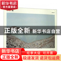 正版 沉沙地 陈卓 浙江摄影出版社 9787551425353 书籍
