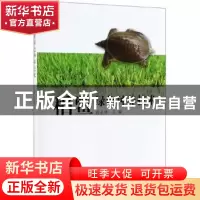 正版 稻鳖绿色种养技术 蒋业林 海洋出版社 9787521003871 书籍
