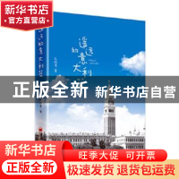 正版 遥远的意大利蓝 乐珍君 中国经济出版社 9787513657631 书籍