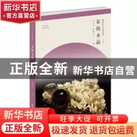 正版 东海水晶 许兴江 江苏凤凰美术出版社 9787558065644 书籍