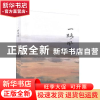正版 一路风景 张瑞敏著 河南文艺出版社 9787555906254 书籍