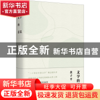 正版 文学的意思 黄子平 天津人民出版社 9787201181769 书籍